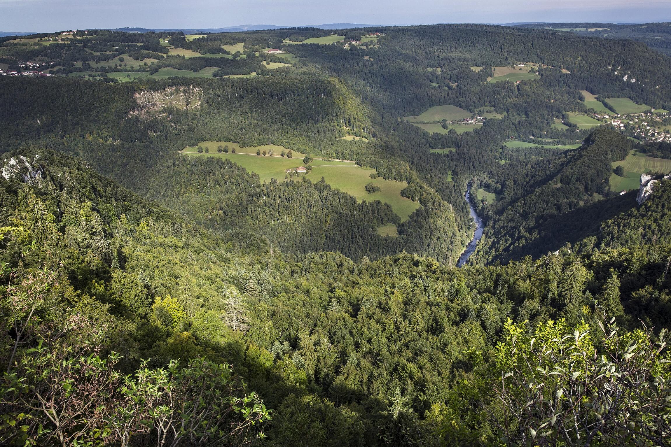 Communes forestières