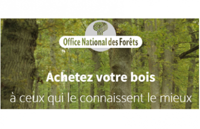 Reprise des ventes de l’ONF - L’organisation des ventes en salle se fera sous contrainte sanitaire