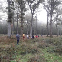 Plusieurs forêts pédagogiques sur la Haute Comté (70)