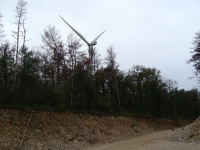 Eolien en forêt communale