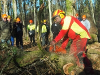 Exploitation des bois de chauffage (Pro-ETF)