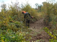 L’élu et les travaux en forêt