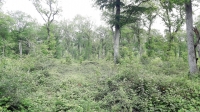 Validation de la révision d’un aménagement forestier - consécutive à la 3ème réunion de concertation