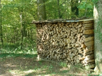 Affouage façonné