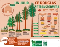 Banderole "un jour, ce douglas se transformera" - FranceBoisForêt