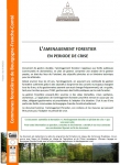 L'aménagement forestier en période de crise