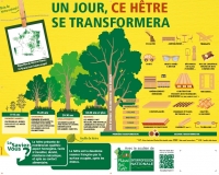 Banderole "un jour, ce hêtre se transformera" - FranceBoisForêt