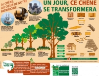 Banderole "un jour, ce chêne se transformera" - FranceBoisForêt