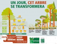 Banderole "un jour, cet arbre se transformera" - FranceBoisForêt