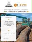 "Les essentiels à retenir" - la forêt, un espace multifonctionnel