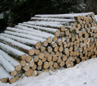 Modes de vente de résineux - massif jurassien (fiches pratiques A)